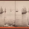 Vessels becalmed, New York Harbor.