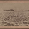 General view of Bay, showing ice floes, N.Y.