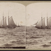 View in New York Harbor [view of a sailboat].