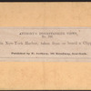View in New York Harbor, taken from on board a clipper ship.