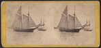 Bay view, from Battery, N.Y. Schooner under way.