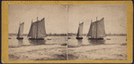 View from foot of Whitehall street, looking towards south Brooklyn. The agitation of water in the foreground is occasioned ny a steamboat just passed.