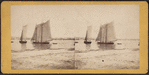 View from foot of Whitehall street, looking towards south Brooklyn. The agitation of water in the foreground is occasioned ny a steamboat just passed.