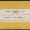 Saloon of the steamer "Bristol," from aft looking forward.
