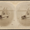 View of the New York Bay ferry boats.