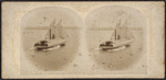 View of the New York Bay ferry boats.