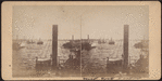 New York Harbor.