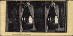 Parlor View, Fifth Av. New York City.
