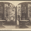 Conservatory View, Fifth Avenue, N.Y.