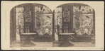 Conservatory View, Fifth Avenue, N.Y.