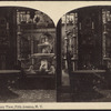 Conservatory View, Fifth Avenue, N.Y.