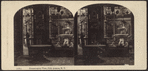 Conservatory View, Fifth Avenue, N.Y.
