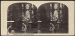 Conservatory View, N.Y. The Three Graces.