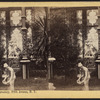 View in a Conservatory, Fifth Avenue, N.Y.