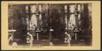 View in a Conservatory, Fifth Avenue, N.Y.