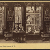 View in a Conservatory, Fifth Avenue, N.Y.