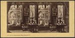 View in a Conservatory, Fifth Avenue, N.Y.