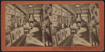 M. Knoedler & Co. (interior.)