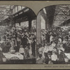 Market under East River Bridge.