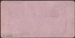 A.T. Stewart & Co.'s Retail Store, New York.