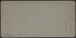 A.T. Stewart & Co.'s Retail Store, N.Y.