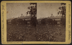 Blackwell's Island, New York.