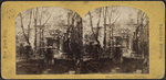 Niblo's Garden, Broadway.