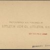 Fashionable billiard hall, N.Y.