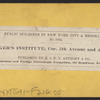 Rutger's Institute, corner 5th Avenue and 42nd Street.