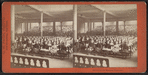 Primary Department of School No. 14, New York City. (Assembled for morning exercises.)