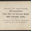 Picture Gallery, Metropolitan Fair, N.Y., 1864.