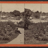 The Esplanade at the foot of the Terrace, Central Park.