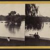 The Island in the Lake, Central Park.