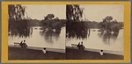 The Island in the Lake, Central Park.
