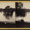 The Island in the Lake, Central Park.