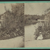 The Pond, Central Park.