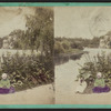 The Pond, Central Park.