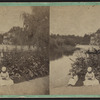 The Pond, Central Park.