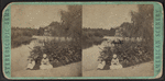 The Pond, Central Park.