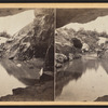 Central Park. View from interior of Cave, looking out.