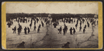 Skating scene in Central Park, winter 1866.