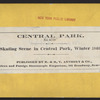 Skating scene in Central Park, winter 1866.