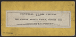 The Eagles, bronze group, winter 1866.