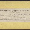 Rustic Bridge over the Ravine, east of the pool, winter 1866.