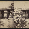 Rustic Bridge over the Ravine, east of the pool, winter 1866.