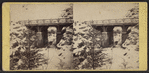 Rustic Bridge over the Ravine, east of the pool, winter 1866.