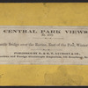 Rustic Bridge over the Ravine, east of the pool, winter 1866.