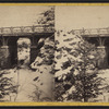 Rustic Bridge over the Ravine, east of the pool, winter 1866.