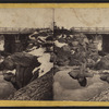 Rustic Bridge over the Ravine, east of the pool, winter 1866.