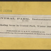 Skating scene in Central Park, winter 1866.